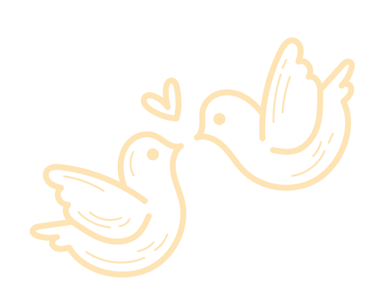 image of duck