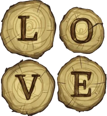 image of locket