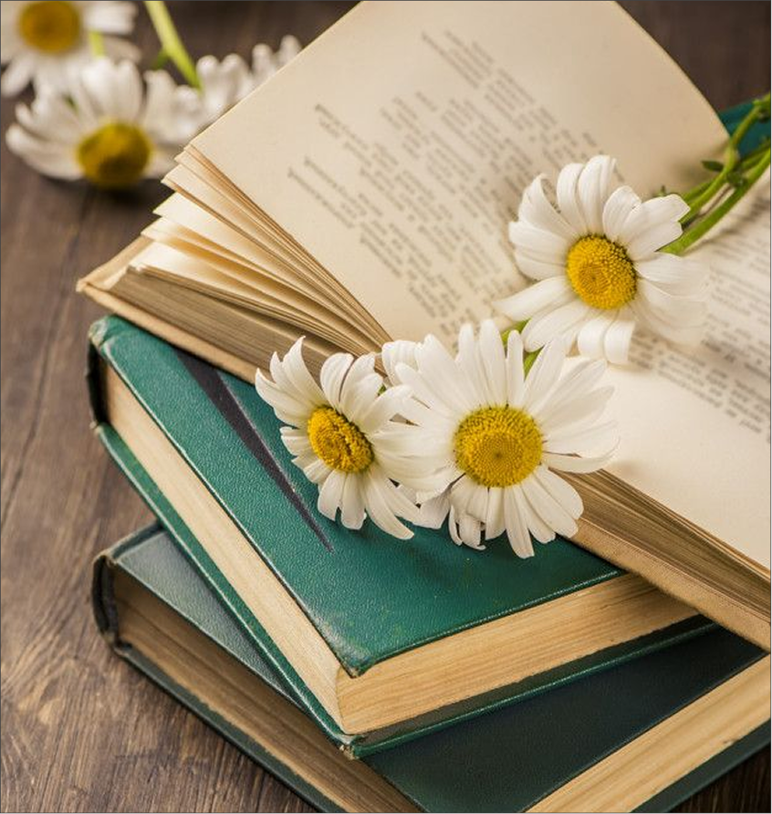 image ofbooks of stacks