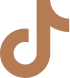 tiktok icon